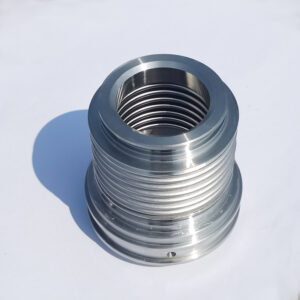 welded bellows for coupling transmission