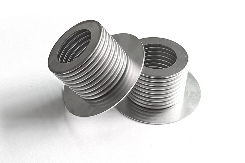 welded gasket bellows